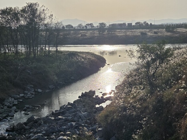 유유히 흐르는 영산강의 윤슬. 사진 오소후 시인 제공.