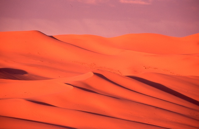 고비사막의 아침. 44*59 Canon EOS 5 Film Camera 70*200mm Pigment Print 2025. 사진 강지미