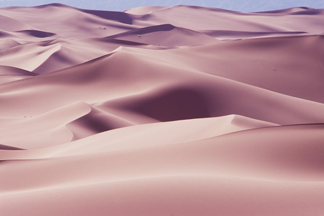 New wave. 44*59 Canon EOS 5 Film Camera 70*200mm Acrylic Frame 2025. 사진 강지미