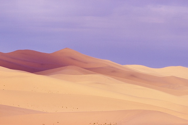 시간의 언덕. 54*75 Canon EOS 5 Film Camera 70*200mm Pigment Print 2025. 사진 강지미