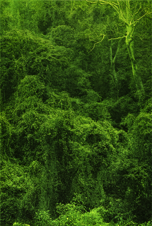 유봉상, BB20230704, 2023, Headless pin, Acrylic on wood,  150x100cm. 이미지 리앤배