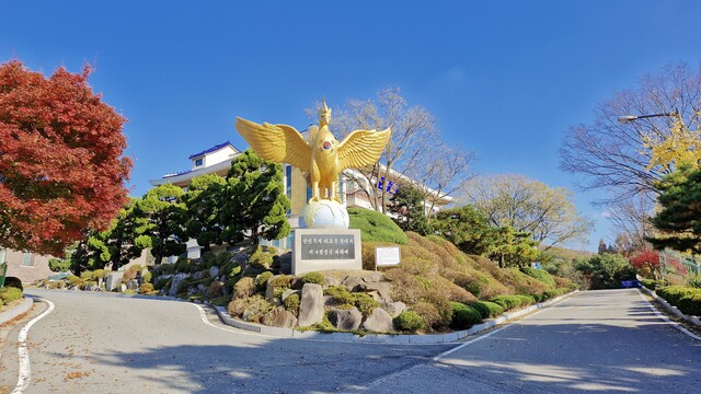 단풍으로 물든 국학원. 사진 국학원.