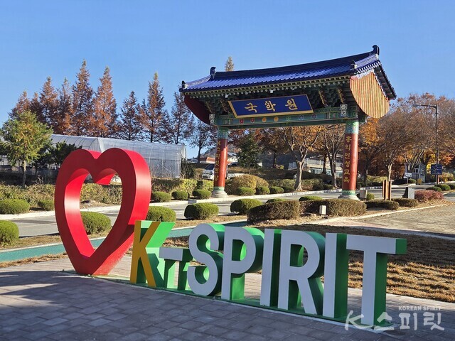 깊은 가을 단풍으로 물든 K스피릿의 전당, 국학원. 사진 강나리 기자.