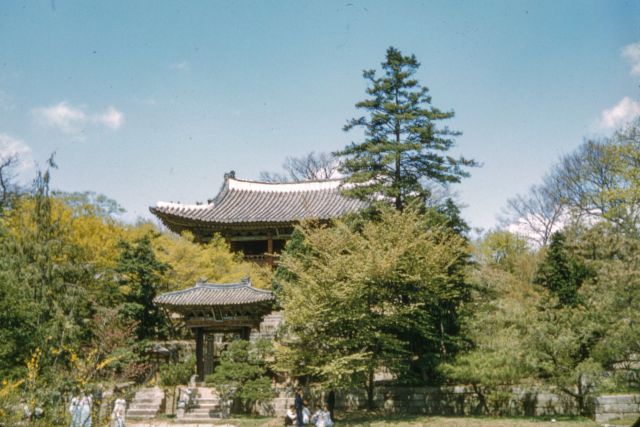 제2회 대한민국 전통조경대전 근현대 사진·영상부문 대상 – 할아버지의 비원 방문기. 서울 950년 후반 추정. 사진 국가유산청