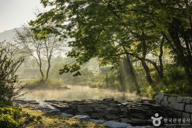 한국관광공사 선정 전국 숨은 관광지 27선 중 잠재 관광지인 전북 고창 운곡람사르습지. 사진 공식홈페이지.