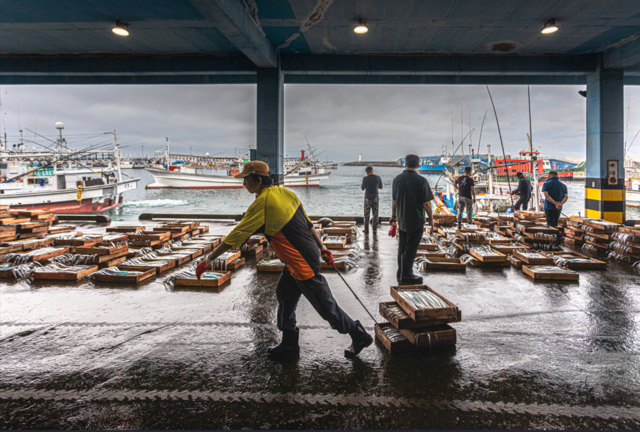 제주 모슬포항을 담은 이명재 작가의 '은빛 담은 발걸음'. 제7회 국가어항 디지털 사진 공모전에서 인물부문 최우수상 수상작. 사진 해양수산부.