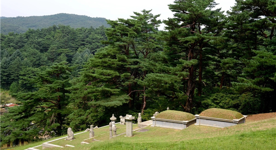 사진7 명주군왕릉. 출처 한국민족문화대백과사전