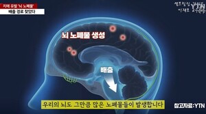 잠들기 전! 뇌에 쌓인 노폐물 매일 청소하는 습관 - K스피릿
